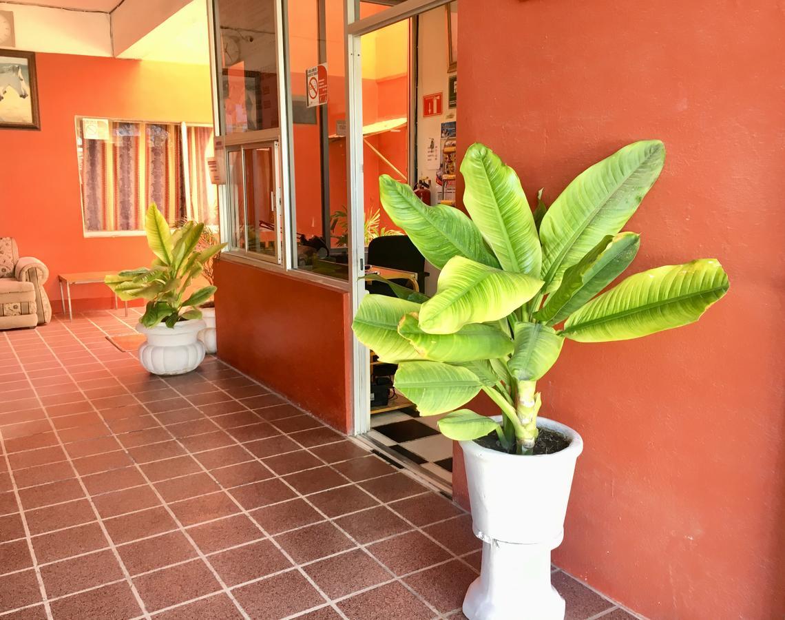 Hotel Bahia De 拉巴斯 外观 照片