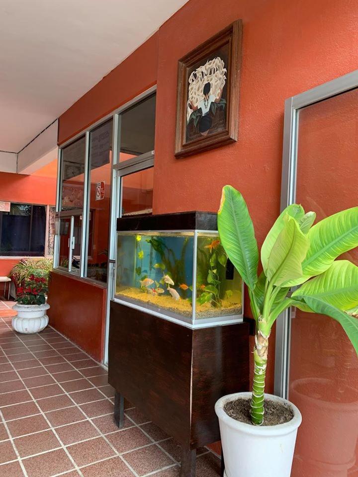 Hotel Bahia De 拉巴斯 外观 照片